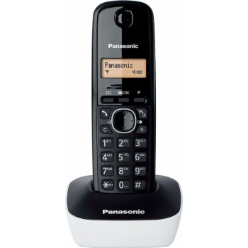 Panasonic KX-TG1611...